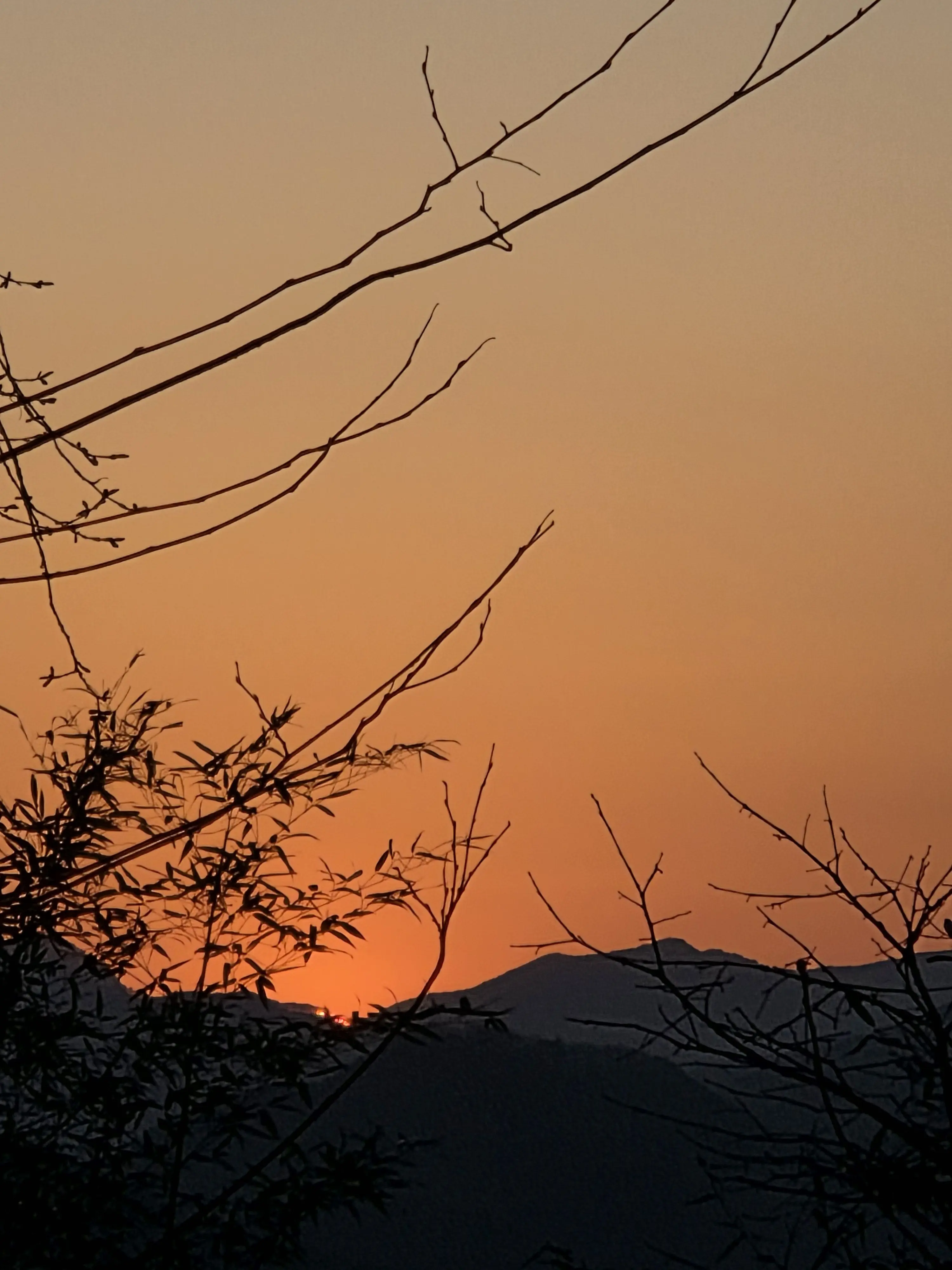 YN0823의 당신의 과거를 살펴보는 괴수들