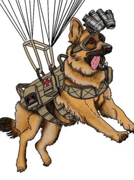 Shampoofish의 Task force 141- Soap adopts a shelter dog