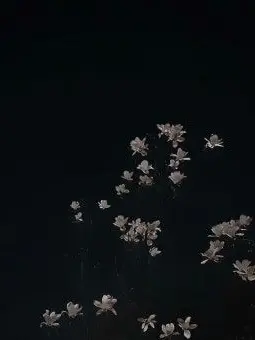 ._._12의 .