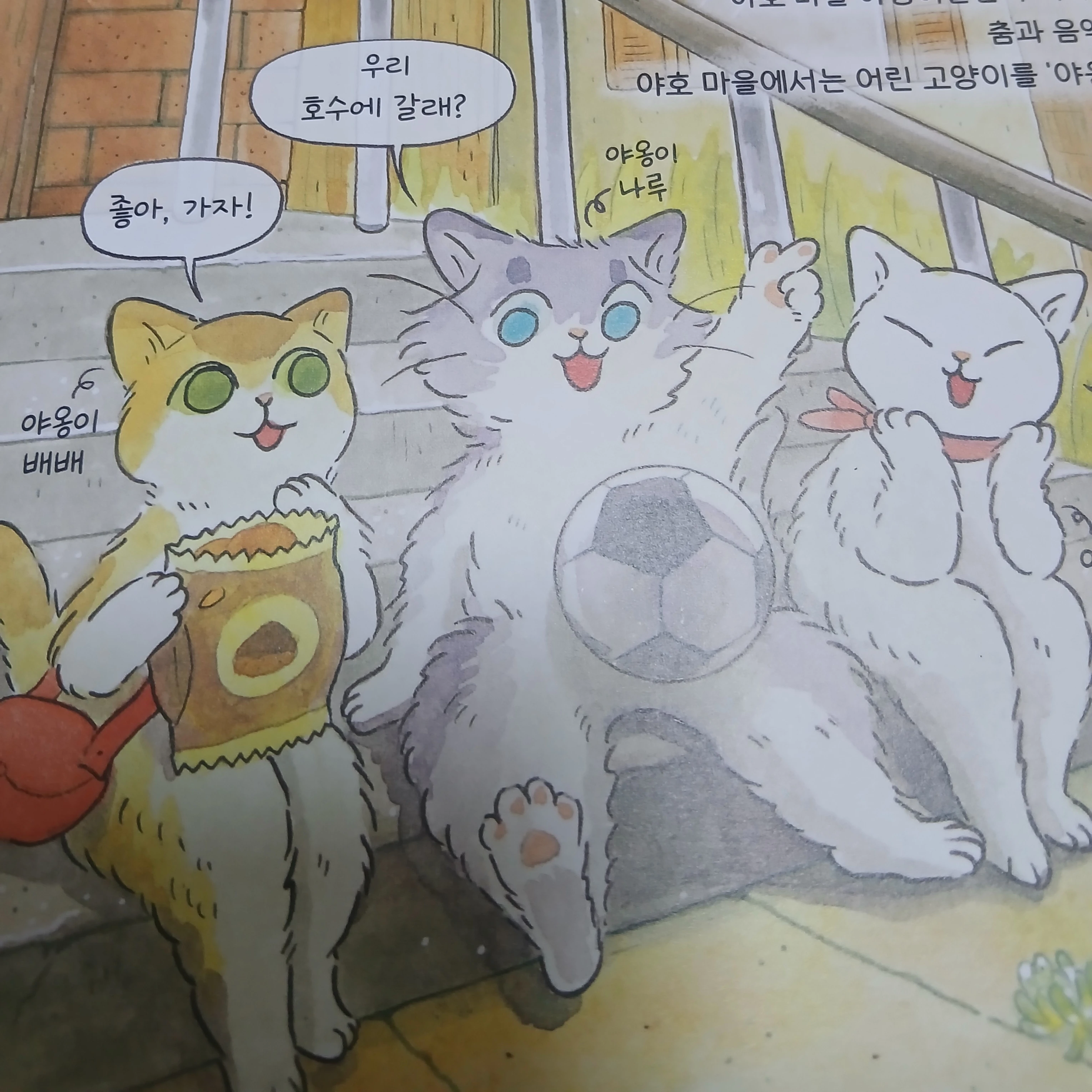 야옹이 수영교실