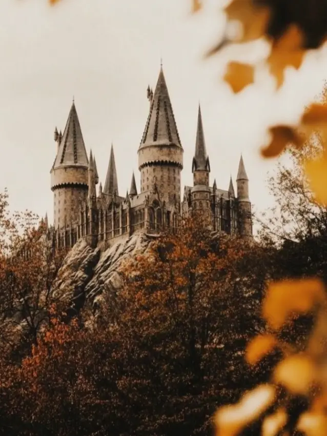 HugeEmmaWatsonFAN의 Hogwarts, 2003 - The Eve of a New Beginning