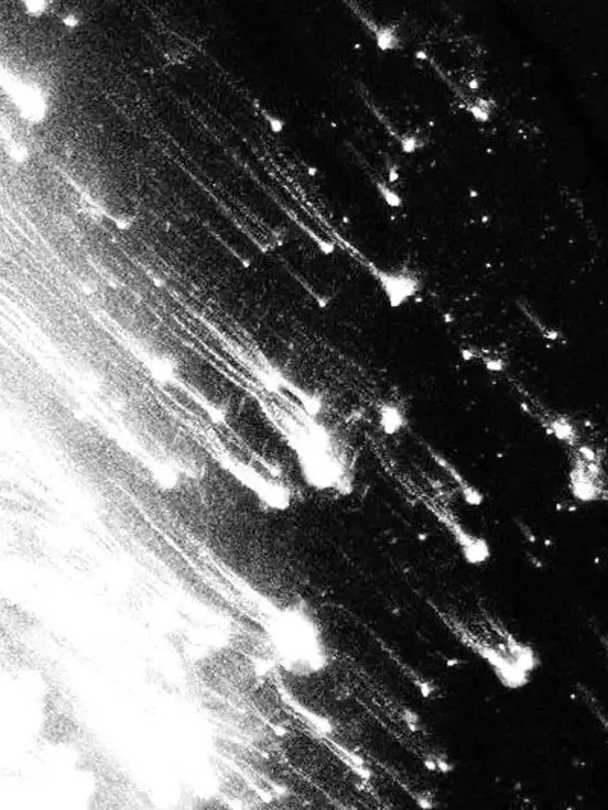 0xf6r5의 病んだら頼って