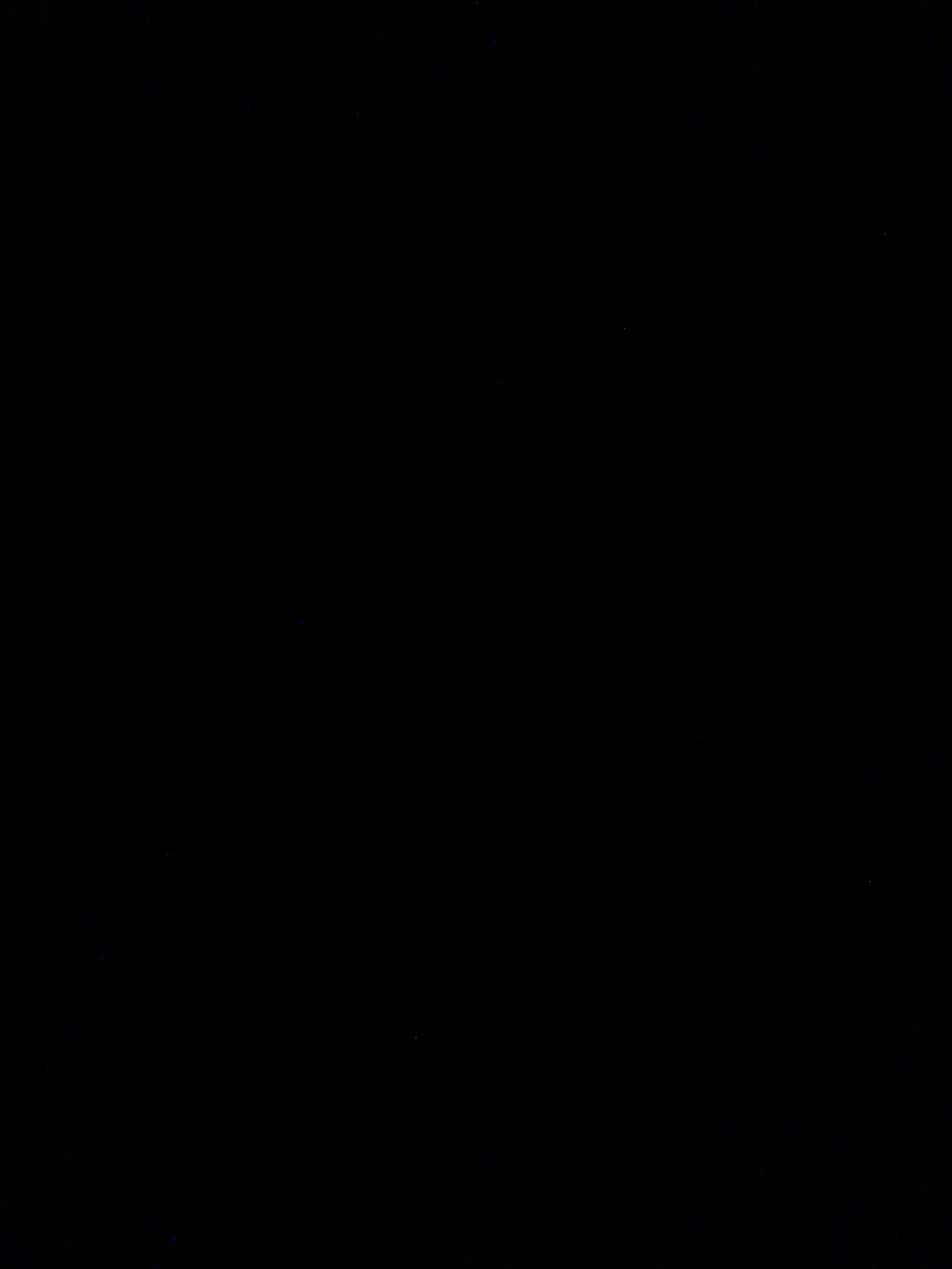 CalmMonth9331의 트리ㅇ.. 아니 네명