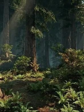 Chaeso4224의 이야기꾼의 여행기