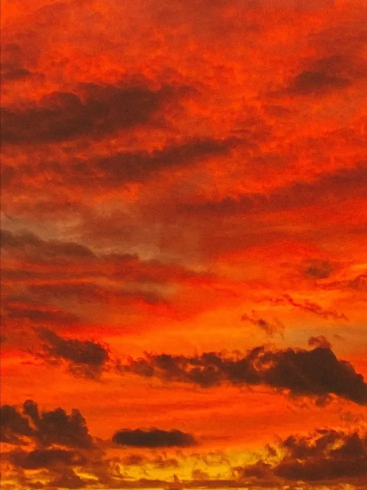 Wotaku_love의 3Bに愛される向井康二くん