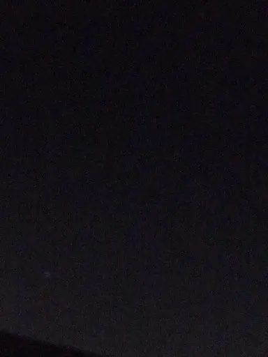 BumpyMink2373의 개인용/