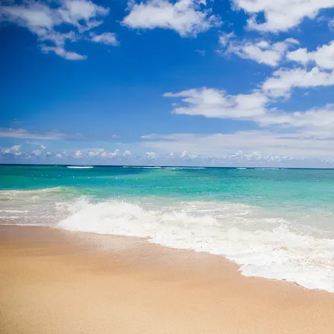 WiryGnat8890의 일벨리와오네쇼타