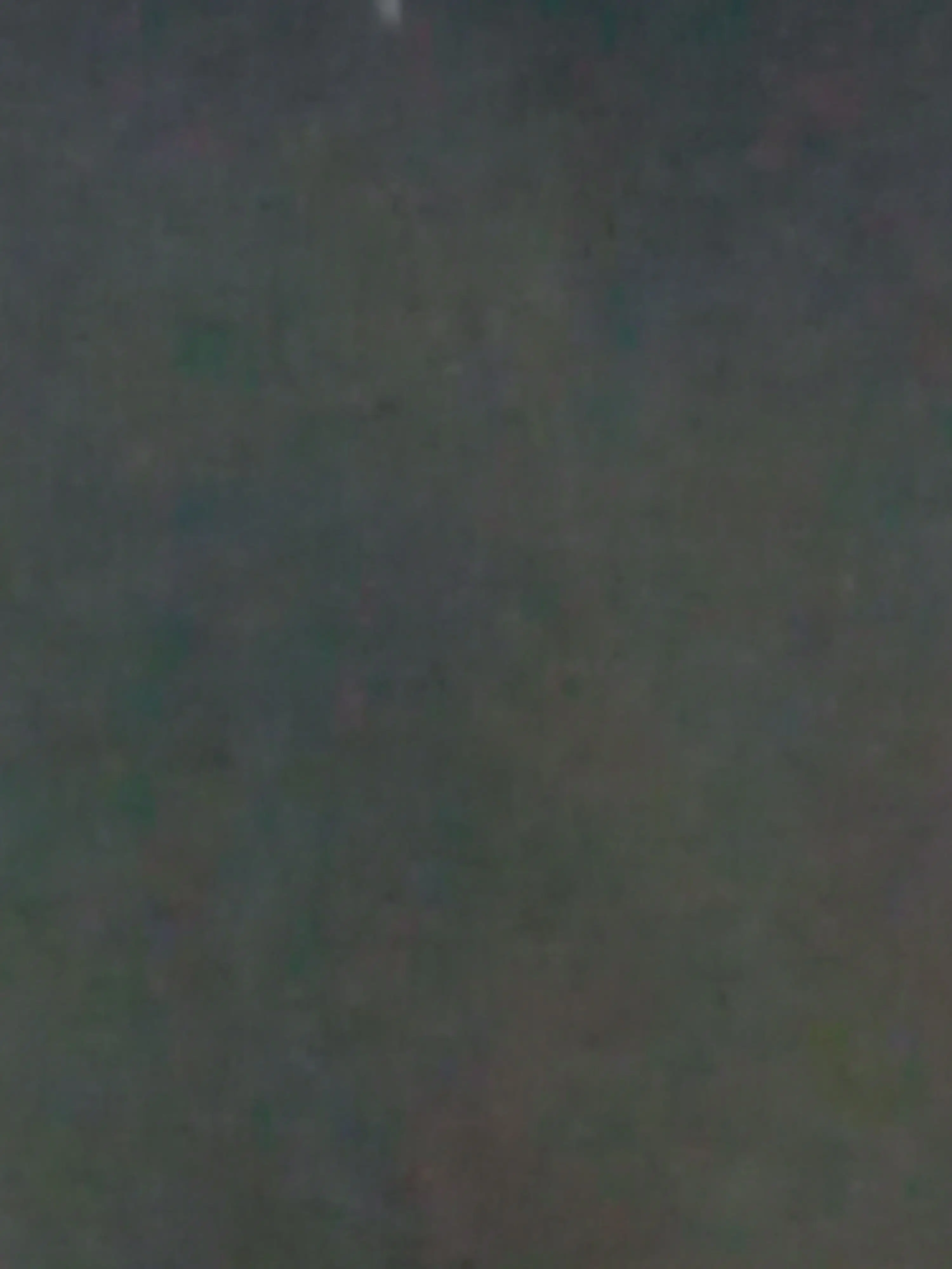 LavishPrawn6228의 셰계관 최강자들한테 시비걸어버링 ㅠㅠ