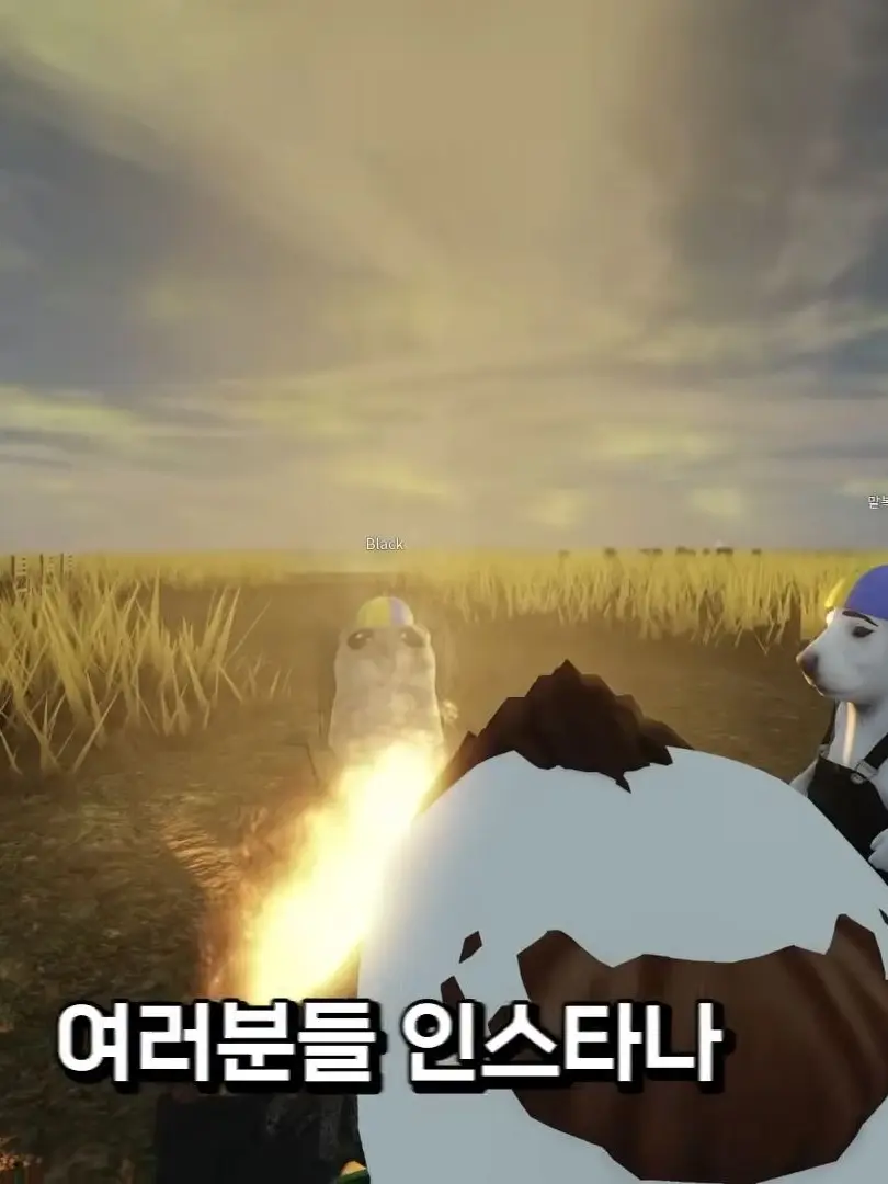 BadShell7838의 밤으깡 Q&A/출처: 허산