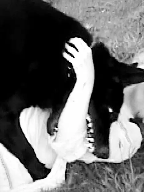 When_angels_deserve_to_die의 Jₐcₖ