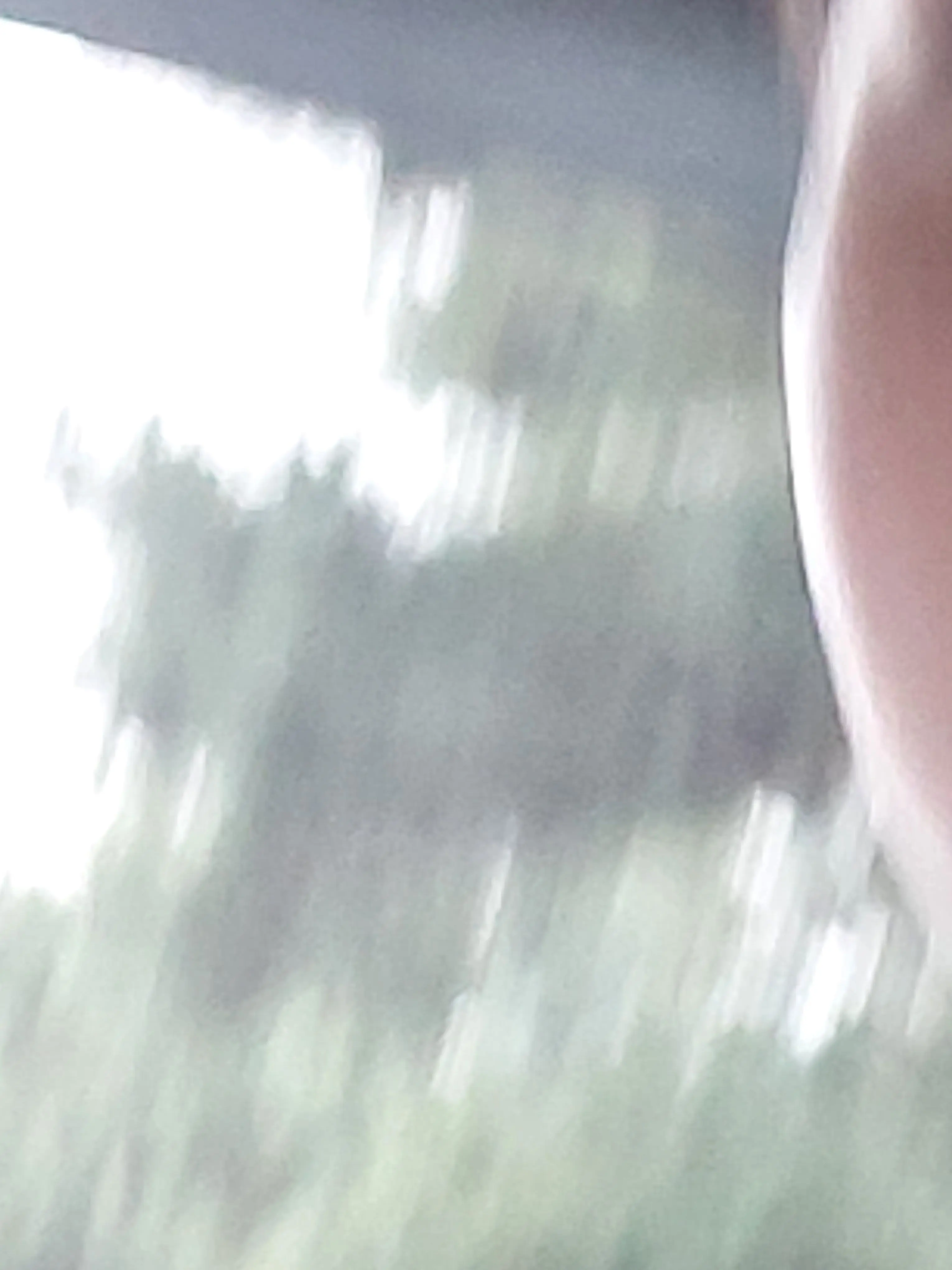 LeeSeon0의 꽥꽥탐험대 교통사고+여우