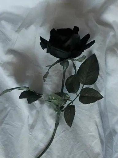 MuteKoala4814의 《하이큐》 평범하게 살고싶은 아이