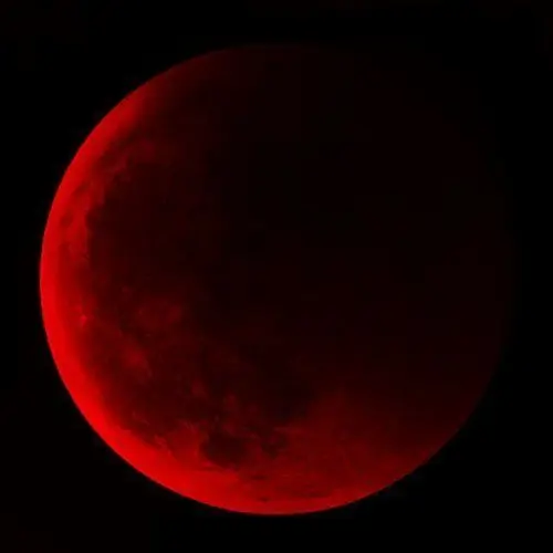 pleasechoosedinner의 블러드문