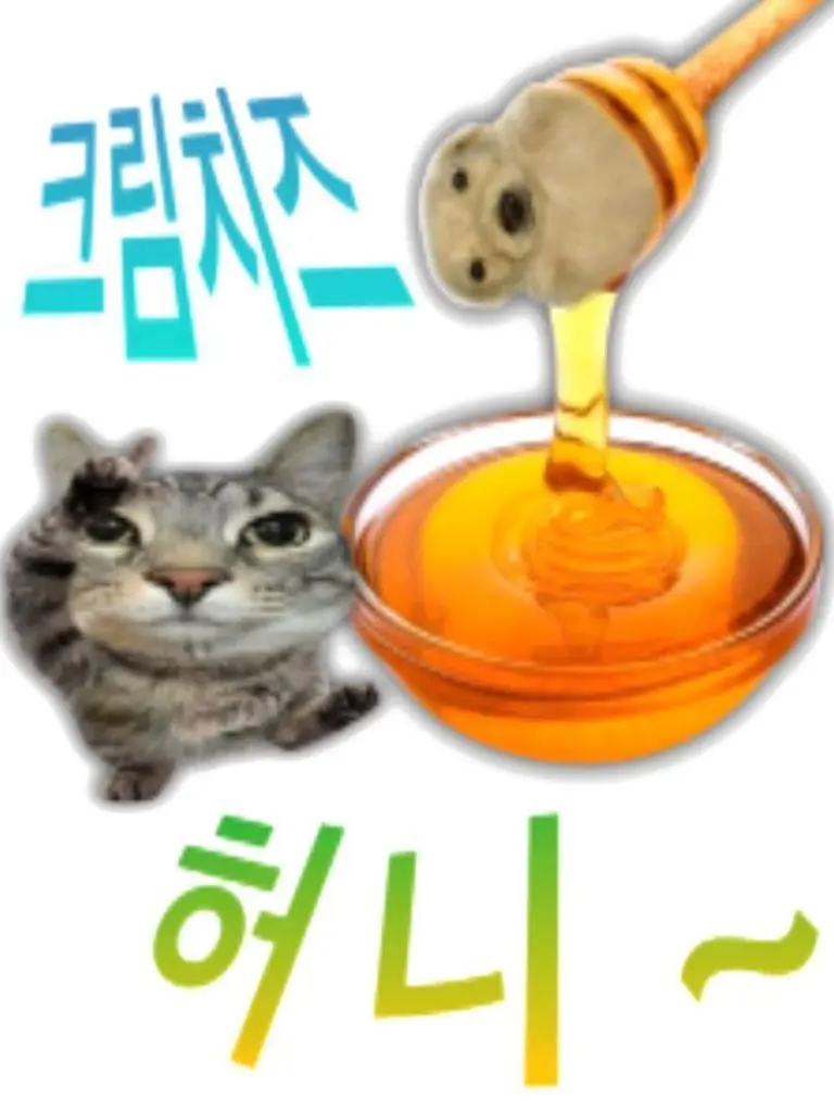 youcanbeasyouwish의 한기준