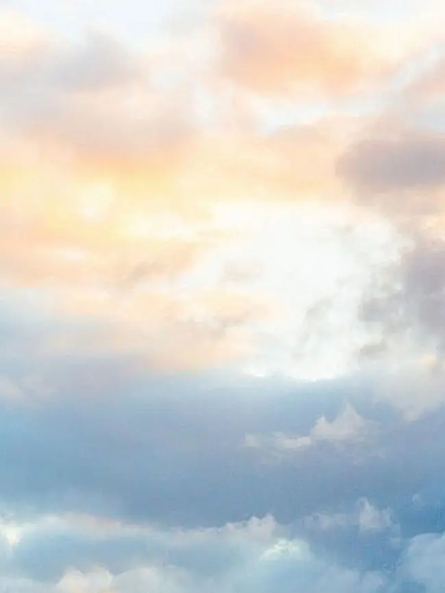 SleepyDingo3838의 『この学園の物語』