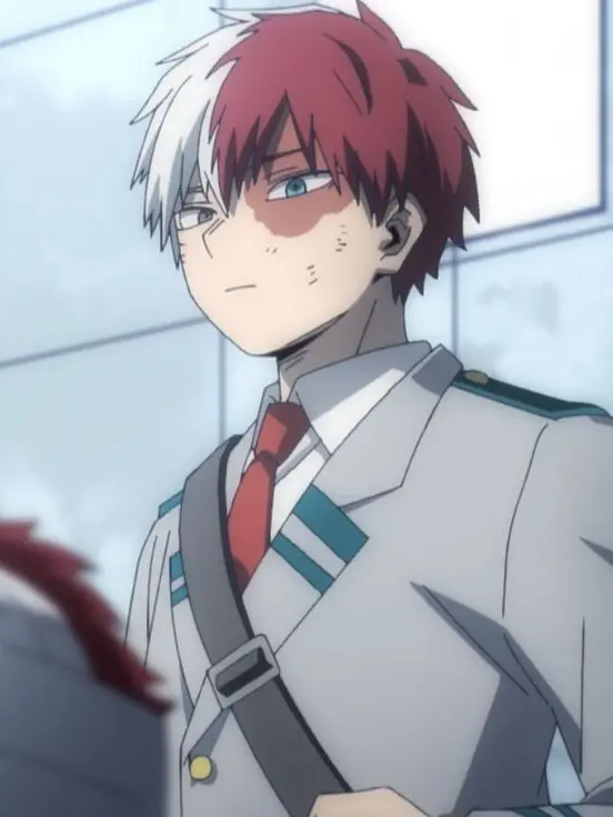 Novachanz의 Shoto Todoroki