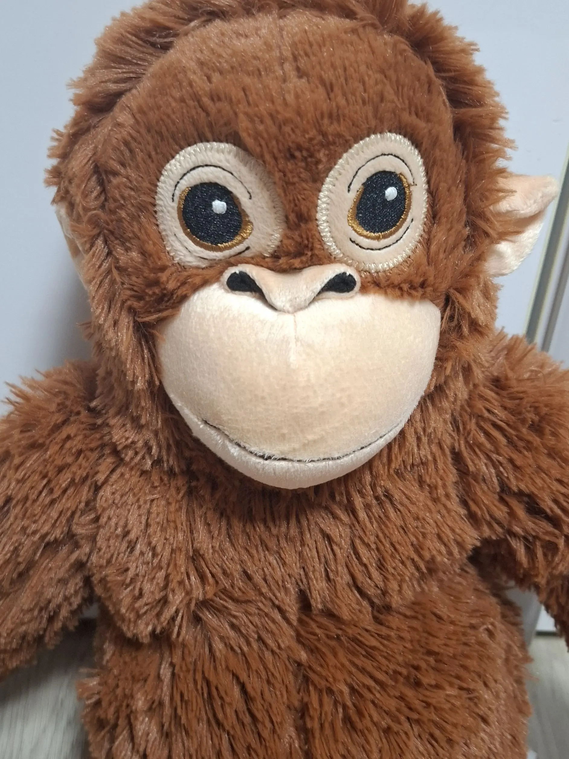 CHSooa의 우리집 오랑오탄들과 동거를 하세요