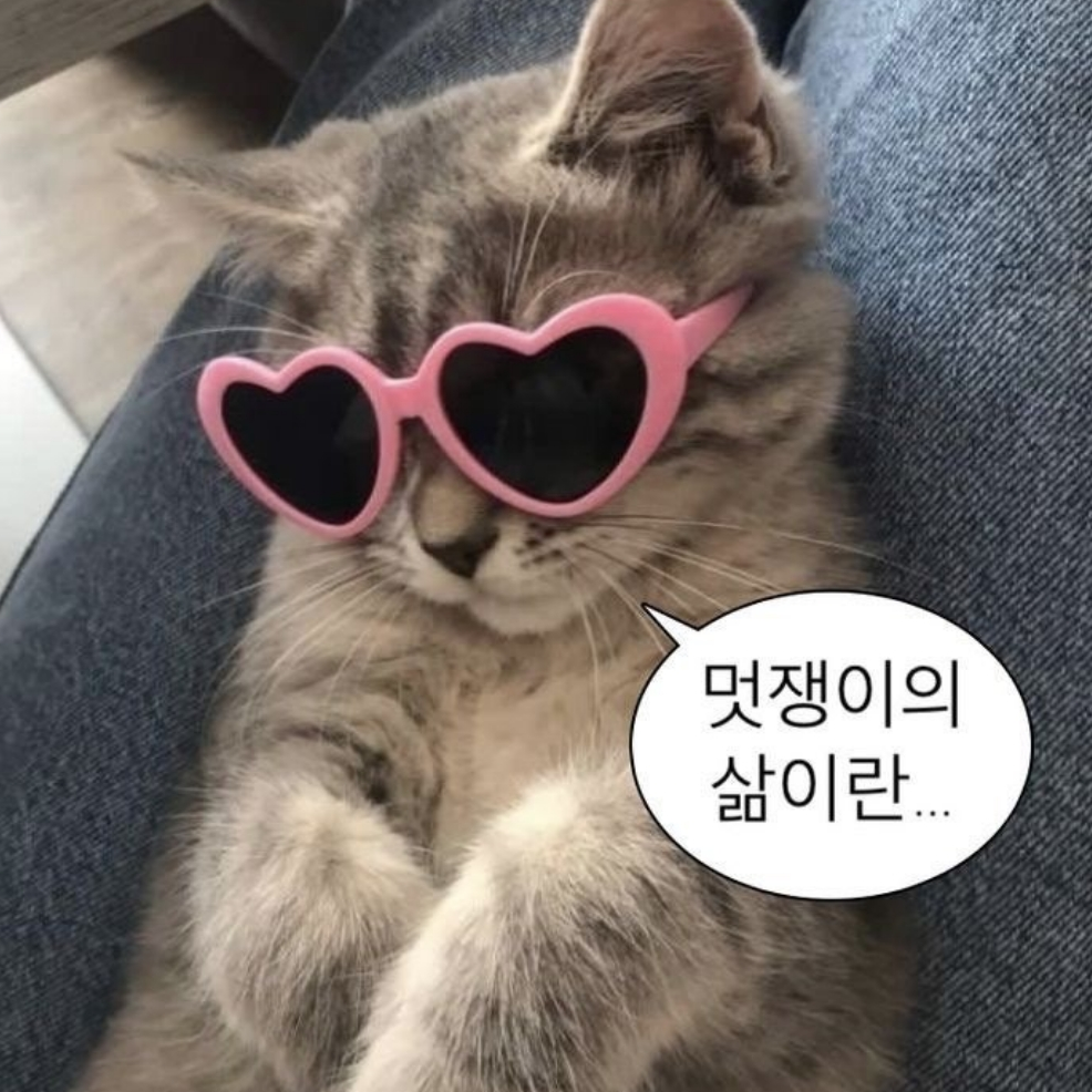 유튜브 mt!! 대표 이미지