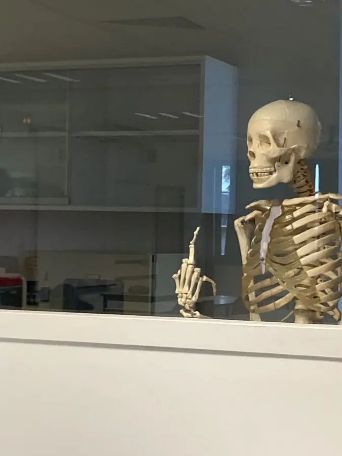 PluckySatin4362의 시바중 2-2반