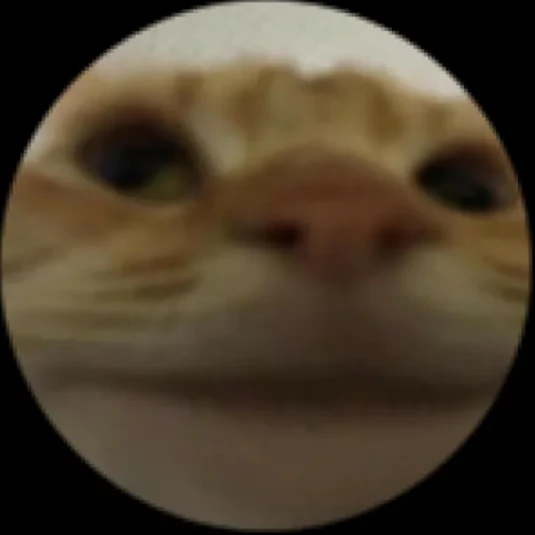 다장다한