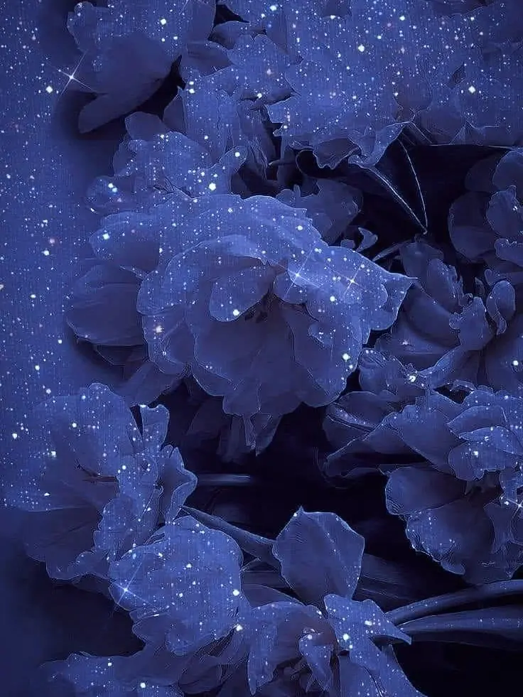 me0vv_의 甘えから