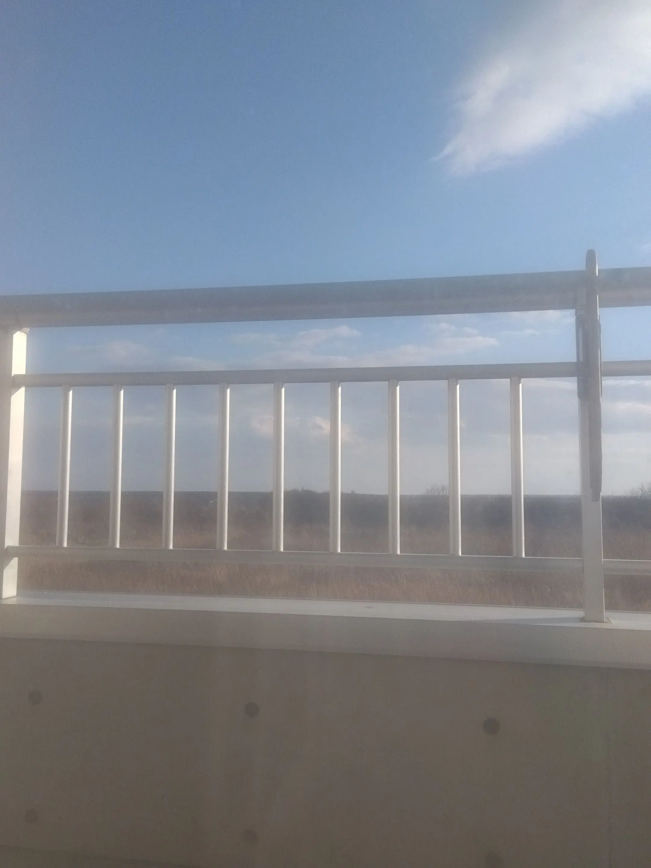 NosyGlove1067의 義理の弟