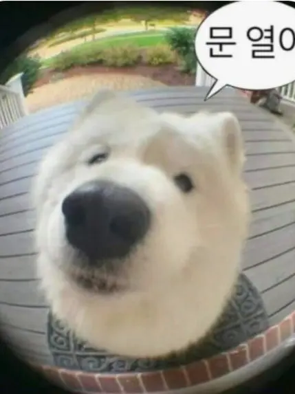 DullDoxle9481의 당신을 좋아하는 10명의 재벌