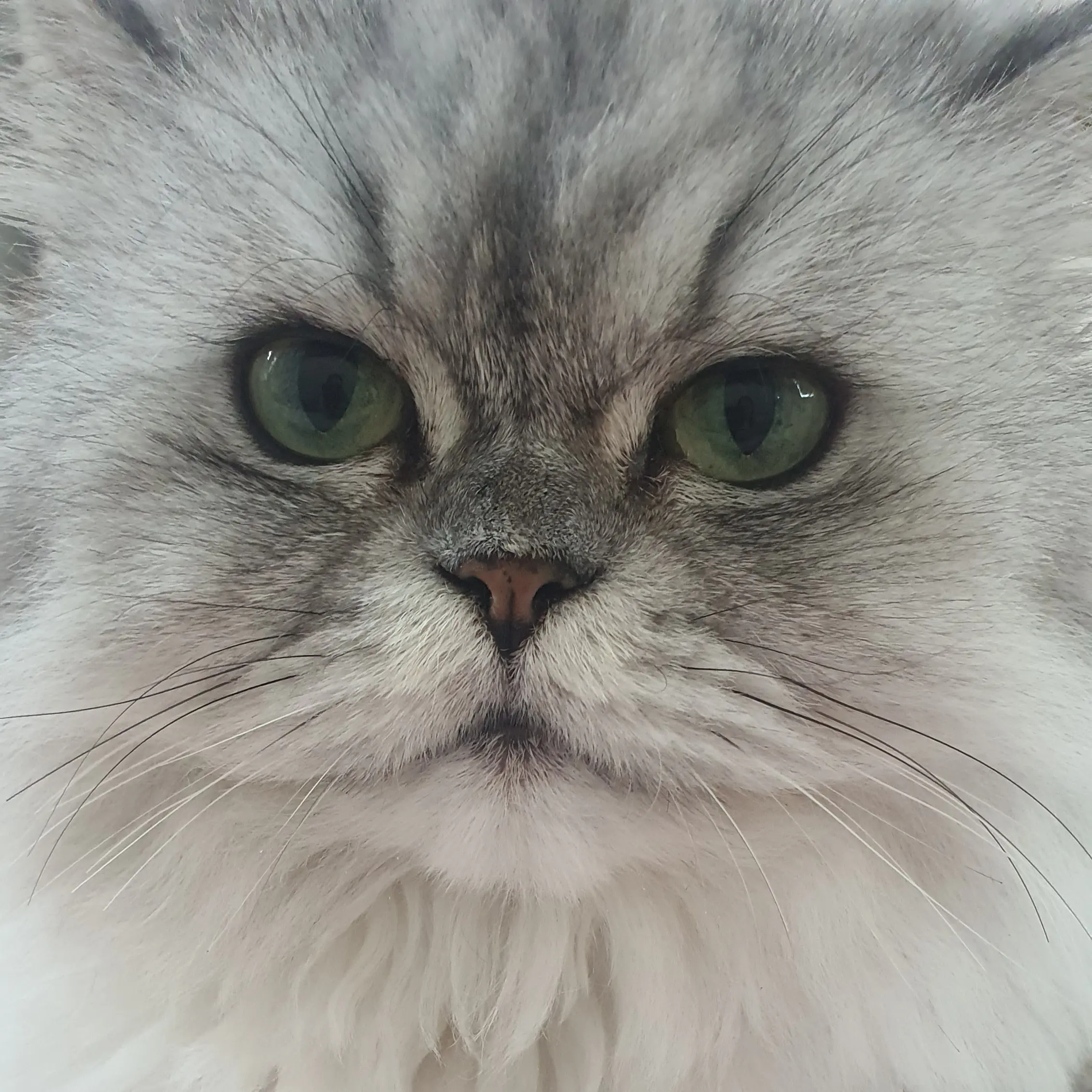 FishyBoss8087의 하반신마비당신.