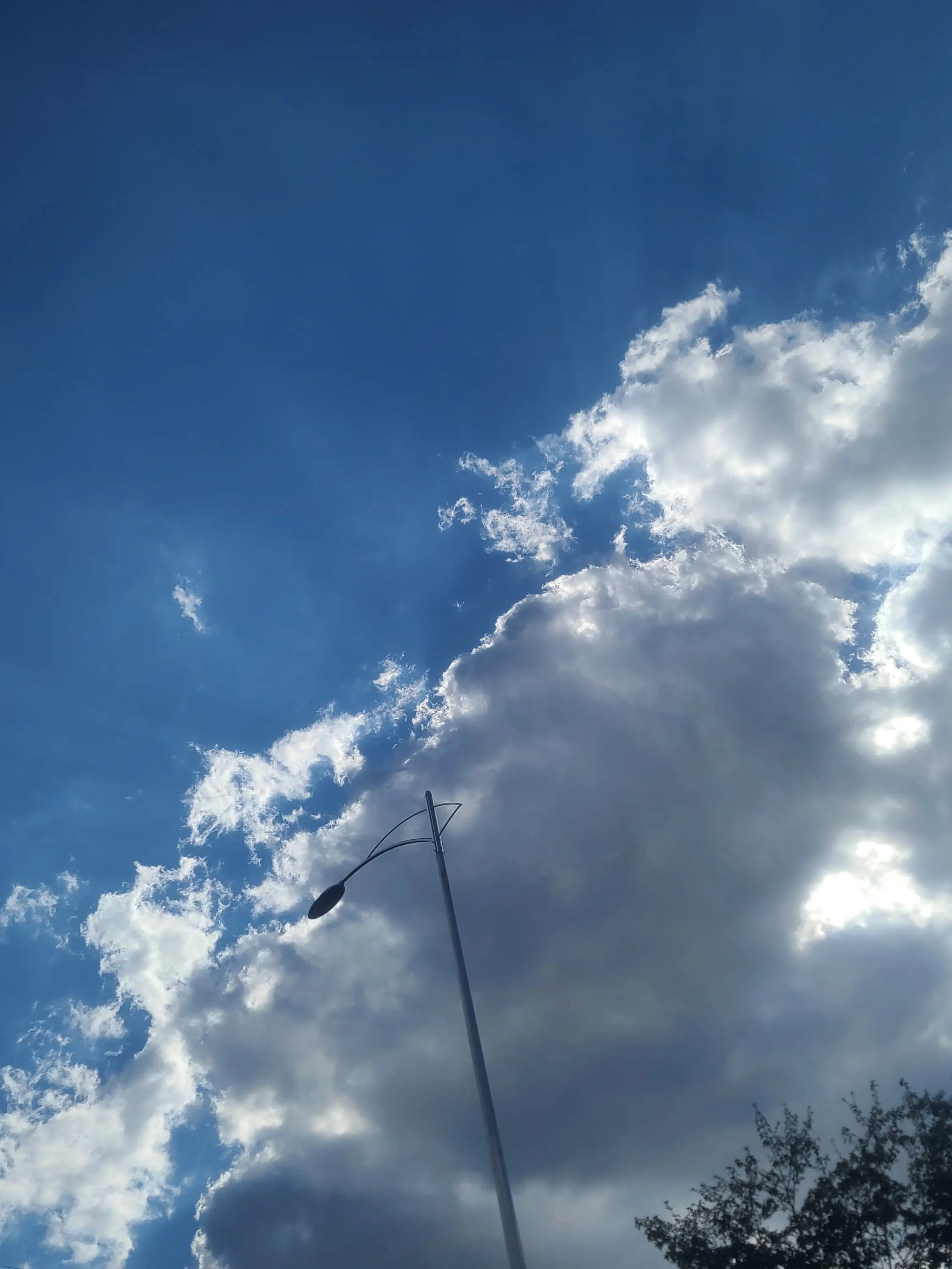 NMIXX_21의 엔믹스(릴리와의 알콩달콩)