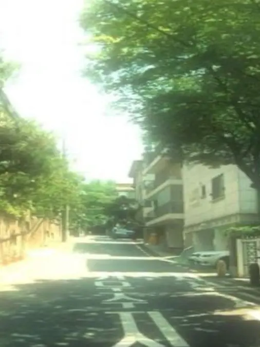 mippaa의 澱粉