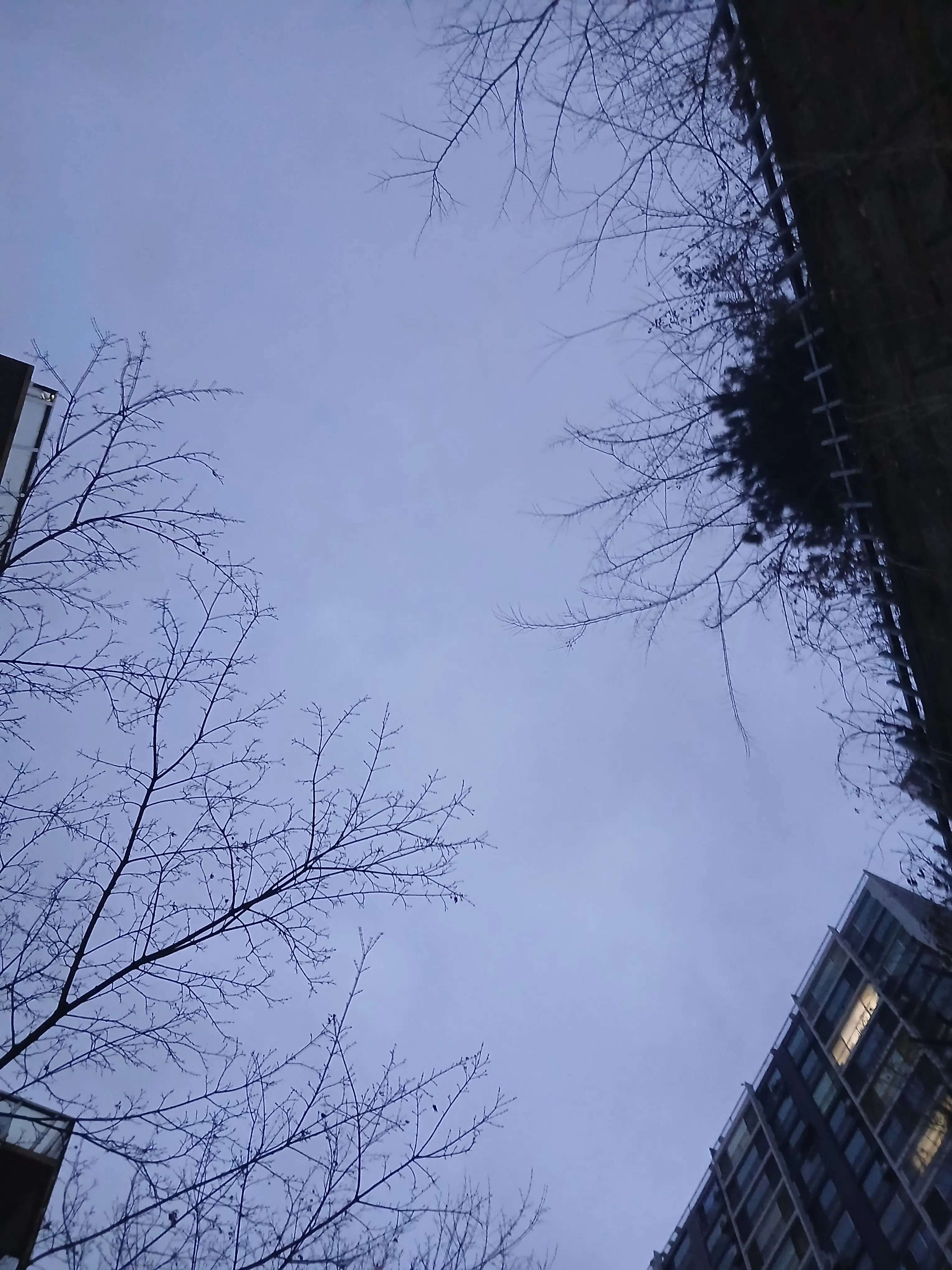 RottenCloak4463의 이채영