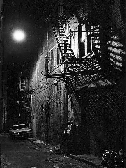 Ze.xta_14의 DN 조직.