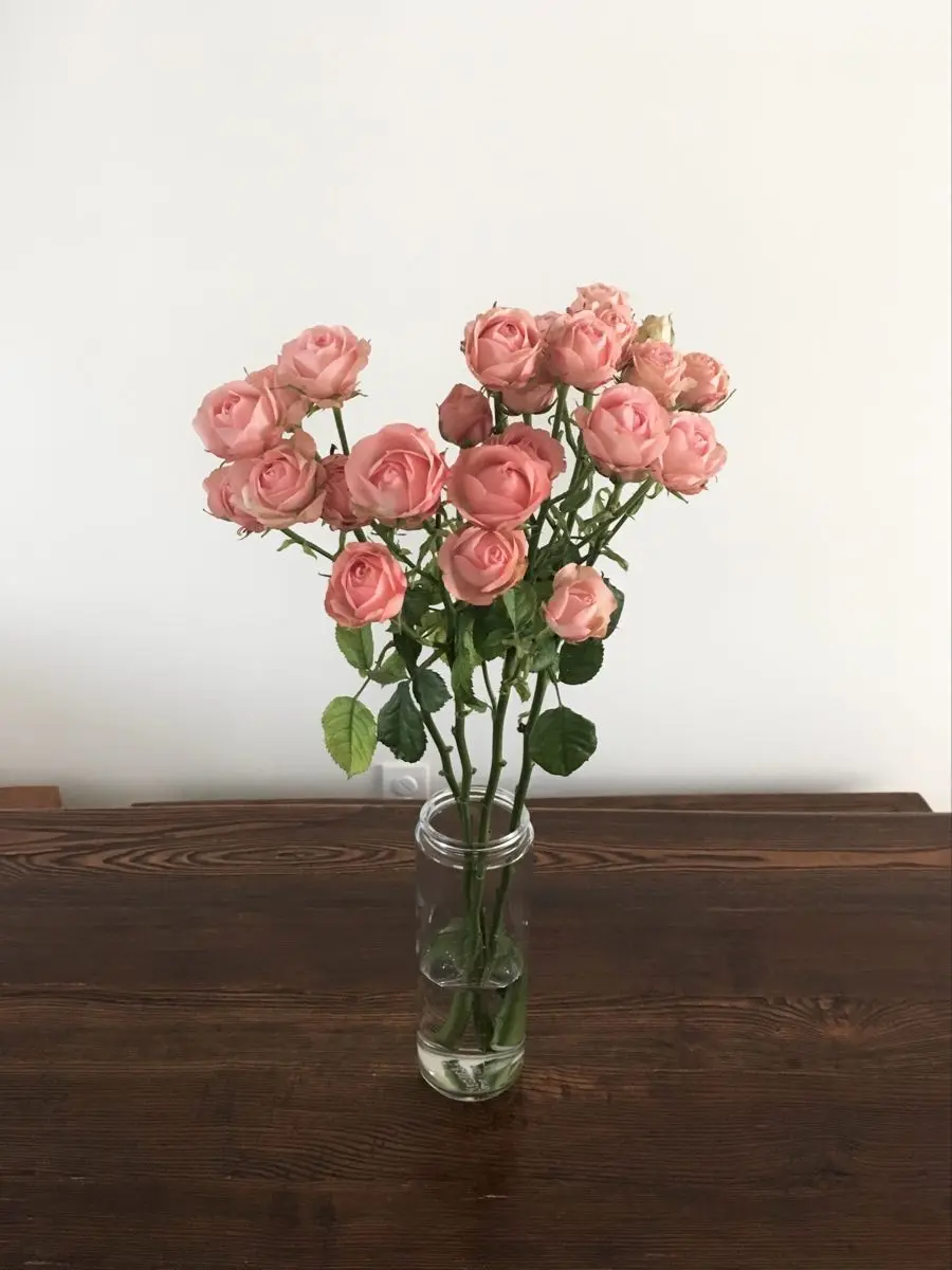 Hihibin의 I will love you with