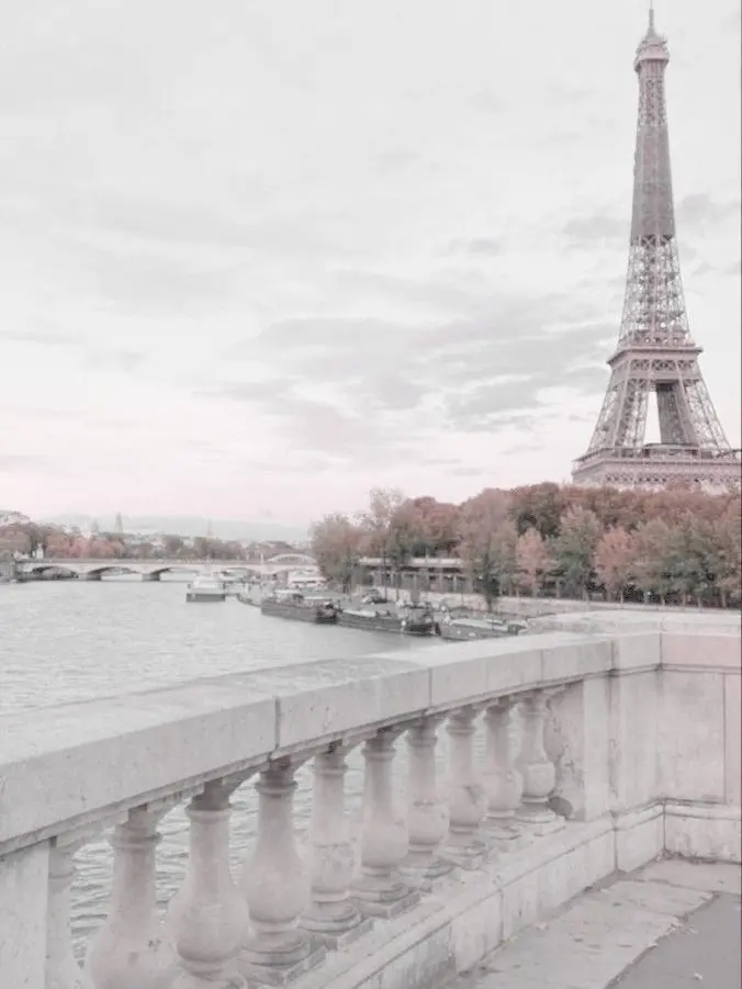 Ayumu806의 お嬢 ―― 👻 🔪🐙🌟