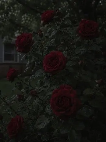 Jay_was_hereuusmp_xplr의 Mental hospital