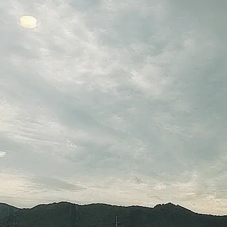 CattyBear5356의 남편들♡