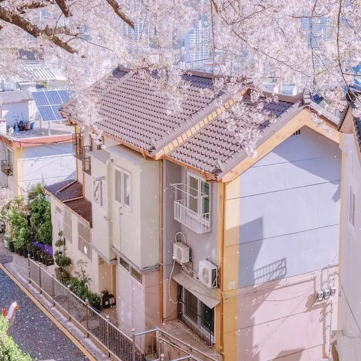 DullReel9153의 봄 바람을 안고 온 새로운 가족