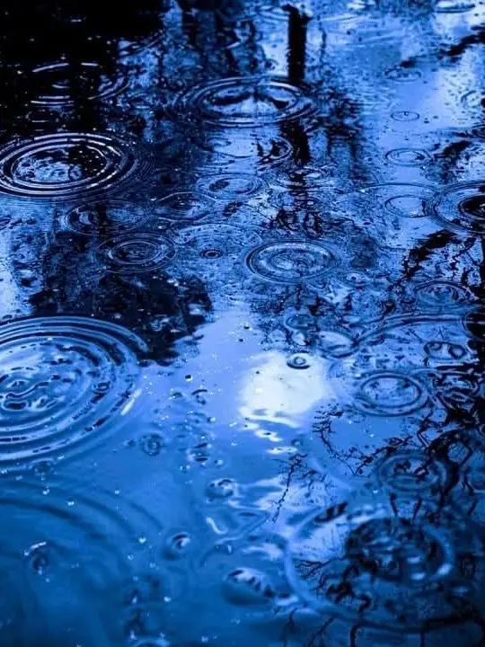 ruru.saiko의 복스