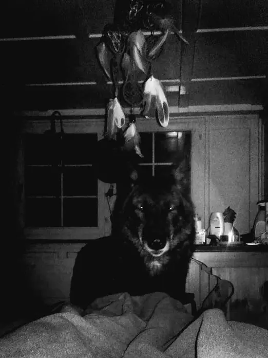 When_angels_deserve_to_die의 ᴰᵃᵛᶦᵈ