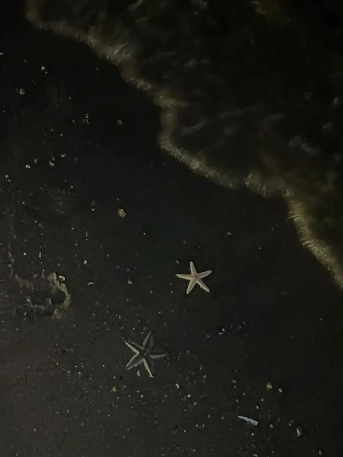 WetBlade6641의 優しさに漬け込んで