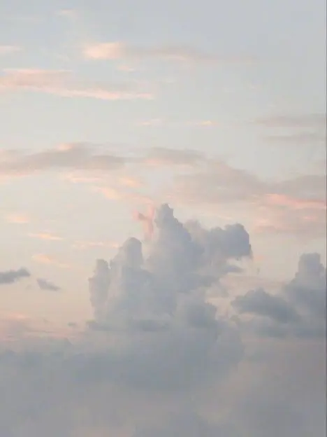 AsIplease028의 그러게, 왜 그랬었어?