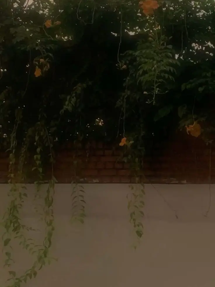 stella0707의 해가 될까