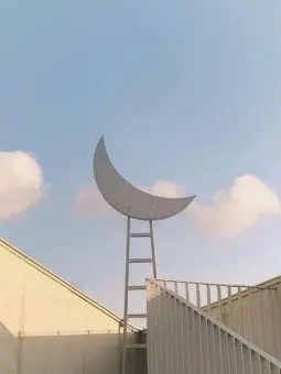 dz.snua의 팀나빠 무리 + 여우