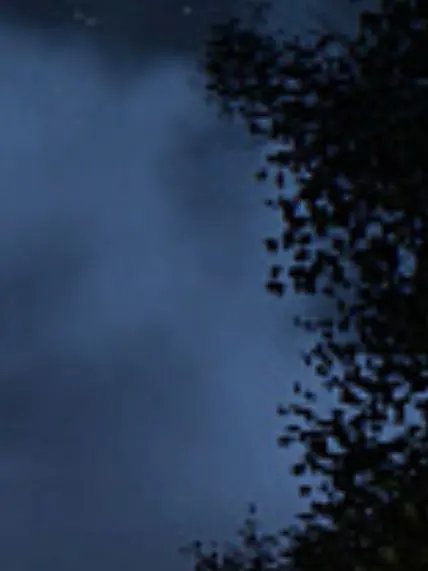 YummyCart5780의 マフィアパロ