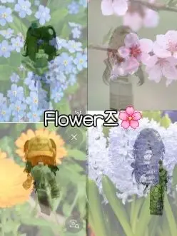 SheerLynx9182의 Flower즈🌸