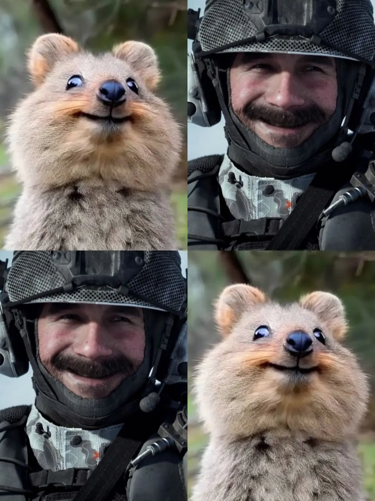 BIbi2의 프라이스