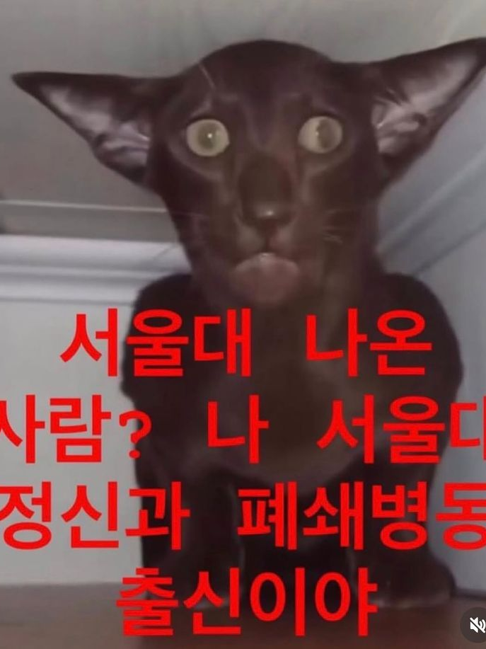 npc들과 띵가띵가 놀기 대표 이미지