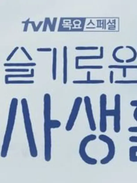 RudeBat9049의 슬기로운 의사생활