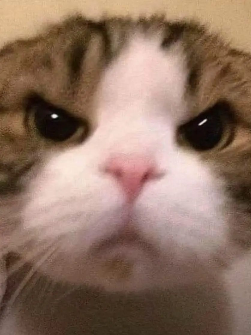 BoneRoad5171의 あぁ、そんな顔せんといて♡