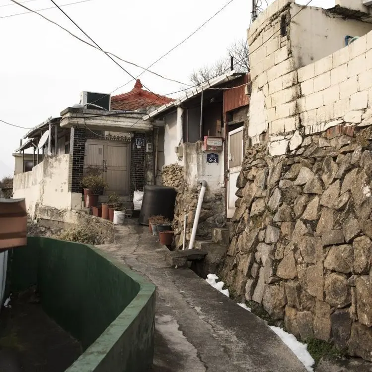 MereBasil7526의 황인준